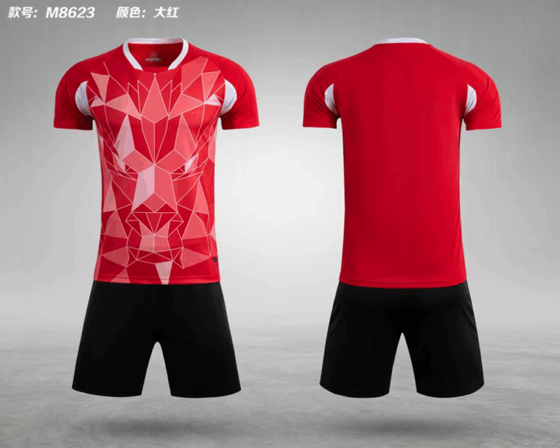 Survetement Football 2023 Men Kids Soccer Jerseys Set Boys Women Football Training Uniforms Team Football Jerseys Sets Print 5XL - Image 9