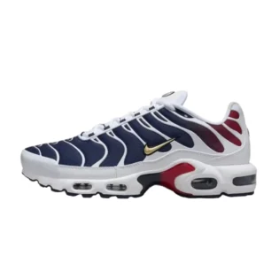 Air Max Plus PSG Shoes