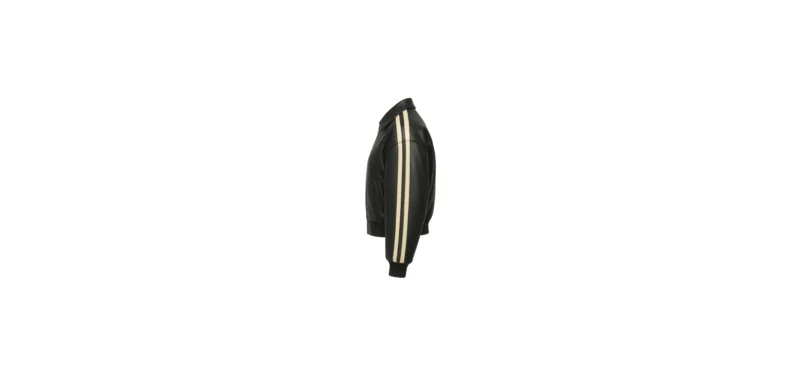 The 25X Midnight Stripe Leather Bomber - Image 4